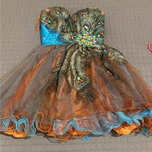 Strapless Peacock Embellished Dress